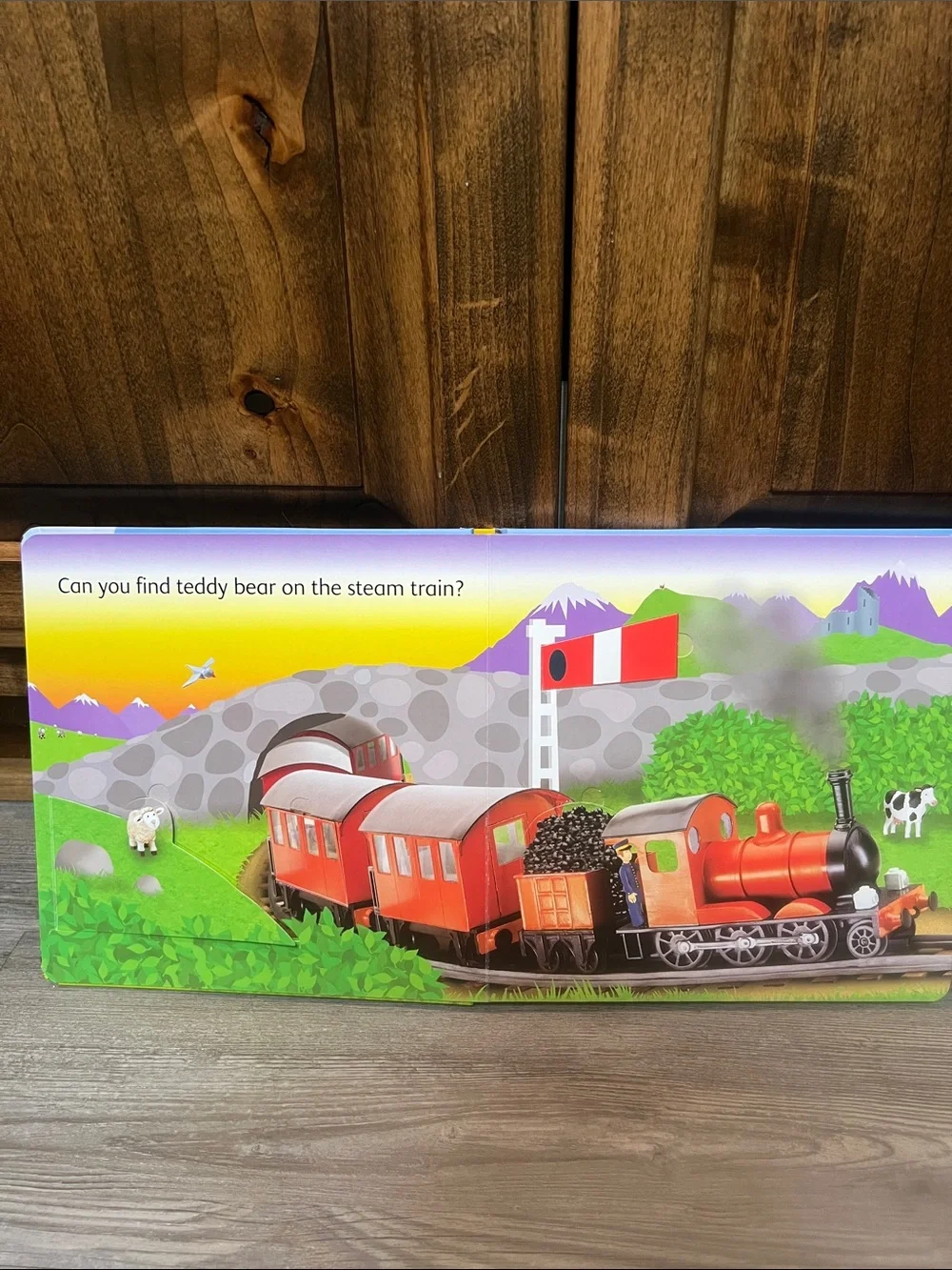 Usborne Trains Lift-and-Look Book
